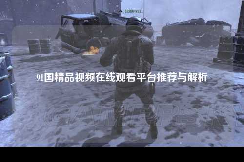 91国精品视频在线观看平台推荐与解析