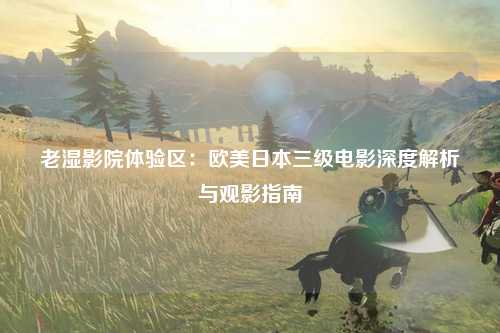 老湿影院体验区：欧美日本三级电影深度解析与观影指南