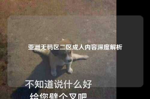 亚洲无码区二区成人内容深度解析