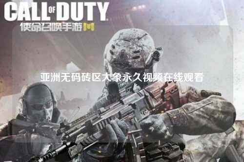亚洲无码砖区大象永久视频在线观看