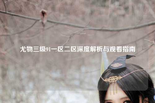 尤物三级91一区二区深度解析与观看指南