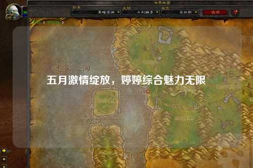 五月激情绽放，婷婷综合魅力无限