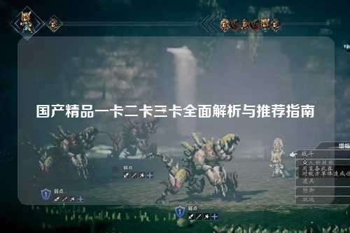 国产精品一卡二卡三卡全面解析与推荐指南