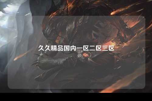 久久精品国内一区二区三区