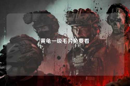黄龟一级毛片免费看