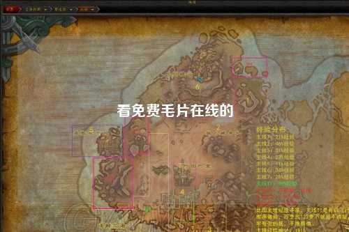 看免费毛片在线的