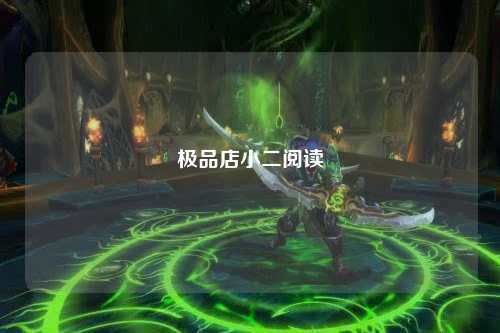 极品店小二阅读