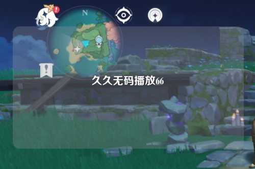 久久无码播放66