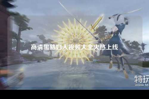 高清黑熟妇人视频大全火热上线