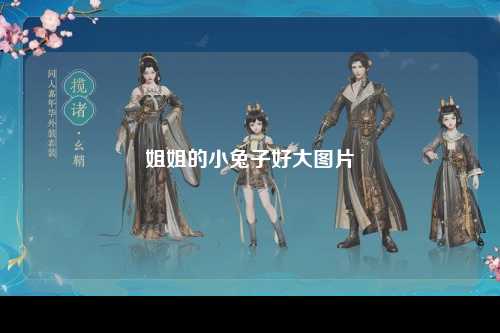 姐姐的小兔子好大图片