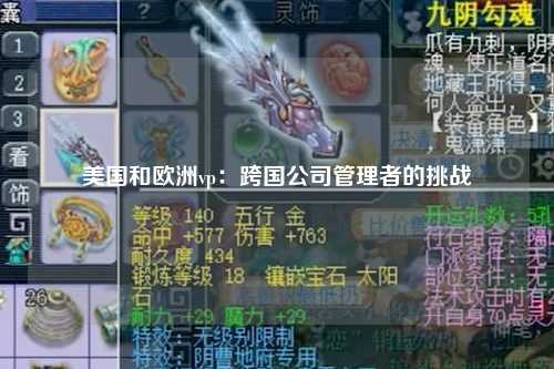 美国和欧洲vp：跨国公司管理者的挑战