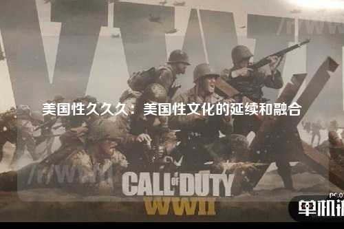 美国性久久久：美国性文化的延续和融合