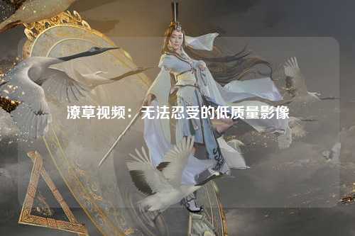 潦草视频：无法忍受的低质量影像